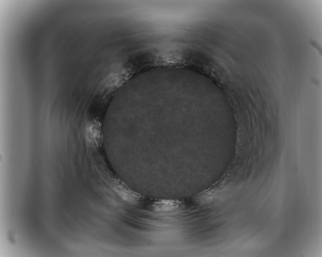 X0000097500672200802291559