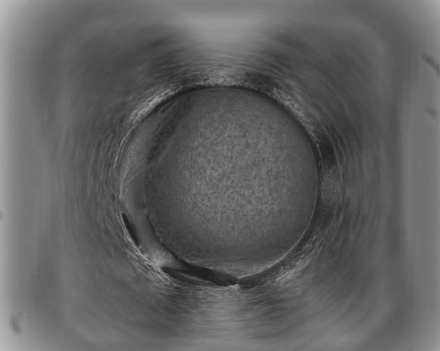 X0000097500673200802291558