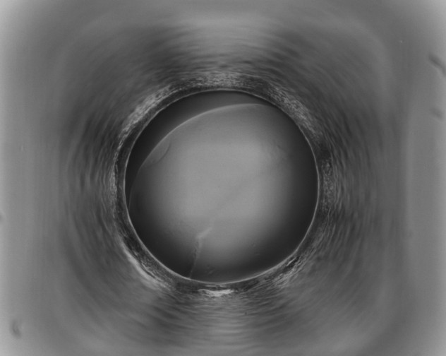 X0000097500674200802291558
