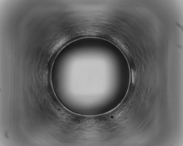 X0000097500675200802291558