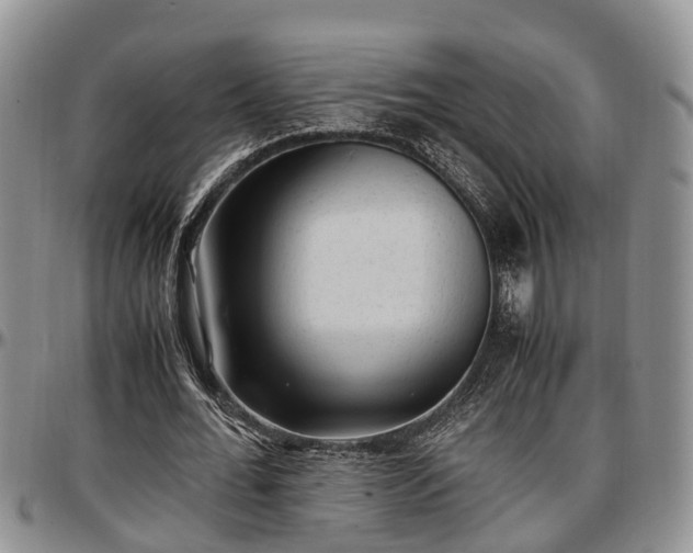 X0000097500676200802291558