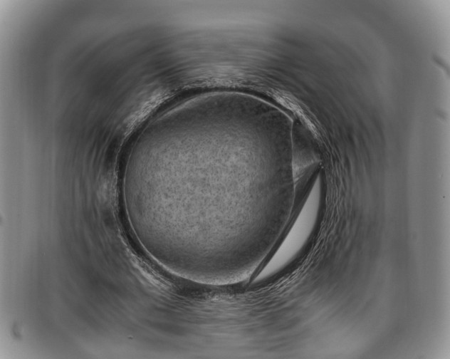 X0000097500677200802291558