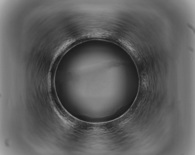 X0000097500678200802291558