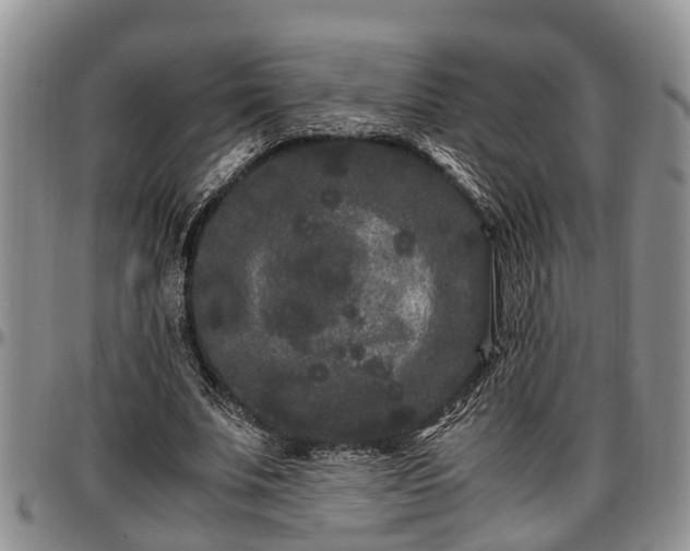 X0000097500679200802291558