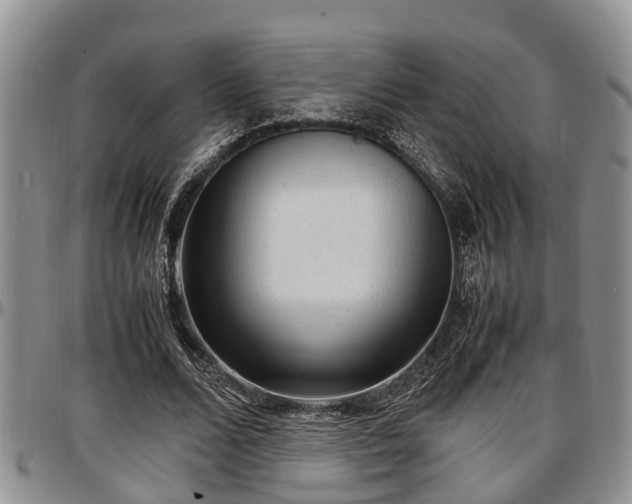 X0000097500680200802291558