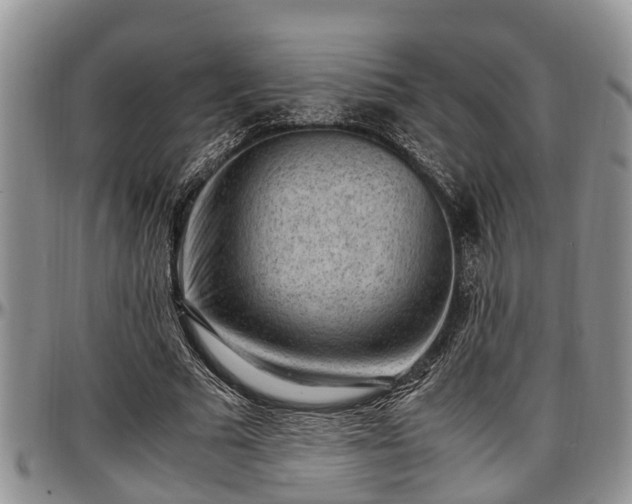 X0000097500681200802291558