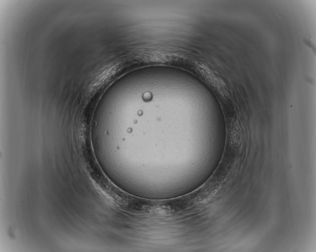 X0000097500683200802291558