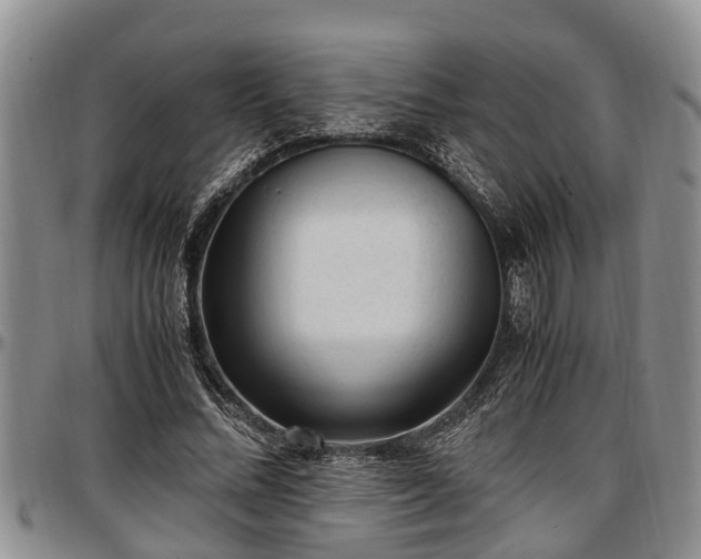 X0000097500684200802291558