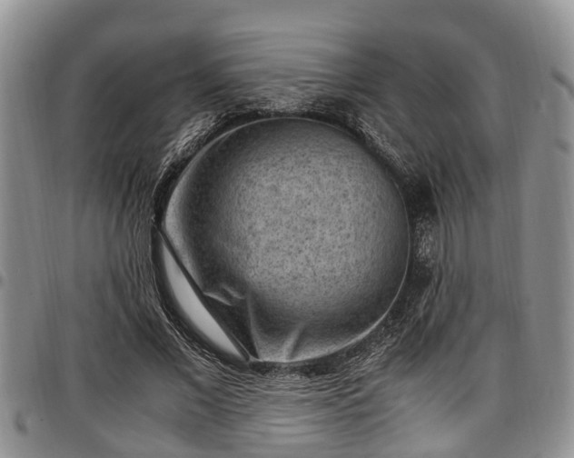 X0000097500685200802291558