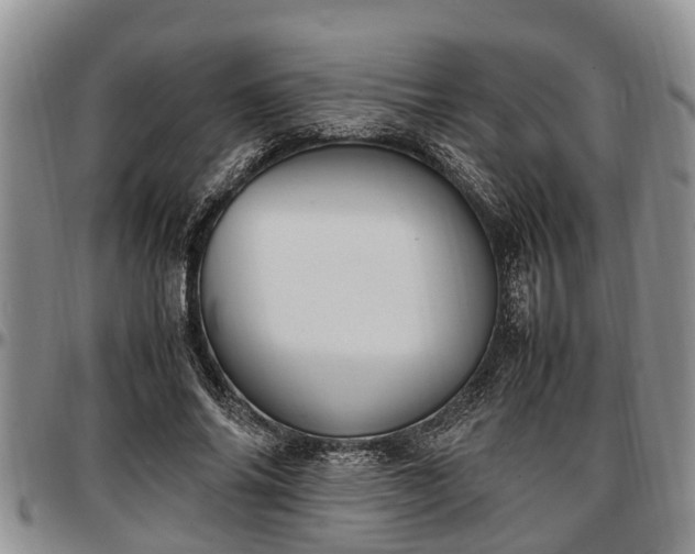 X0000097500686200802291558