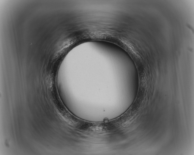 X0000097500687200802291558