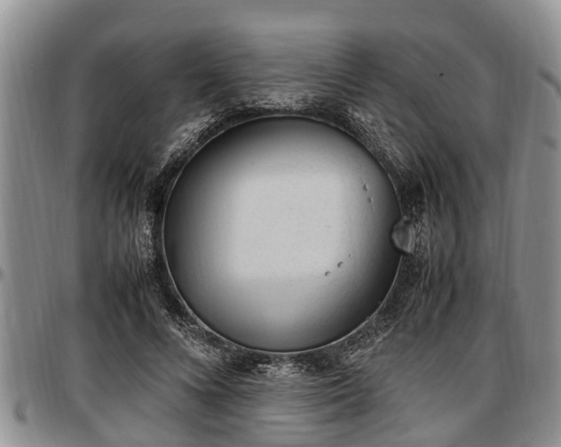 X0000097500688200802291558