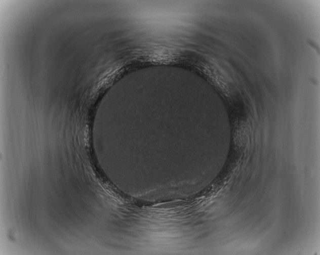 X0000097500689200802291558