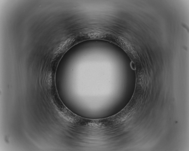 X0000097500690200802291558