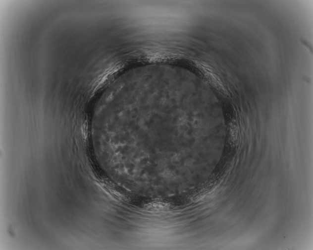 X0000097500691200802291558