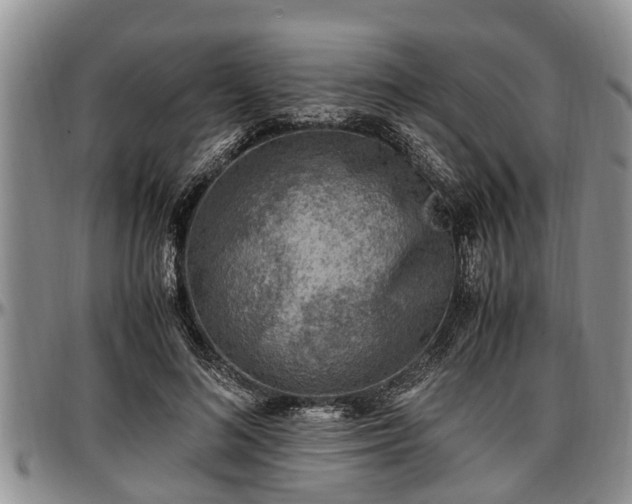 X0000097500692200802291558