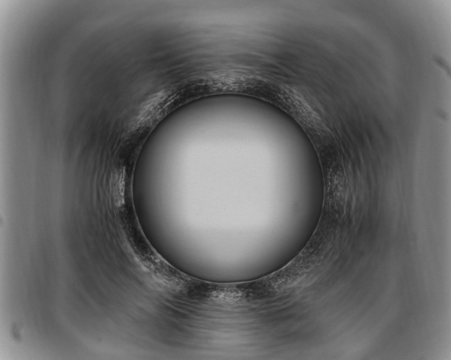 X0000097500694200802291558