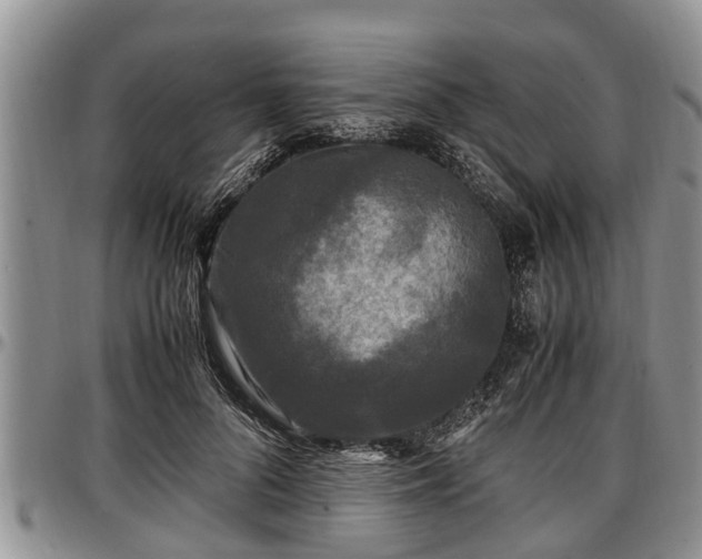 X0000097500696200802291558