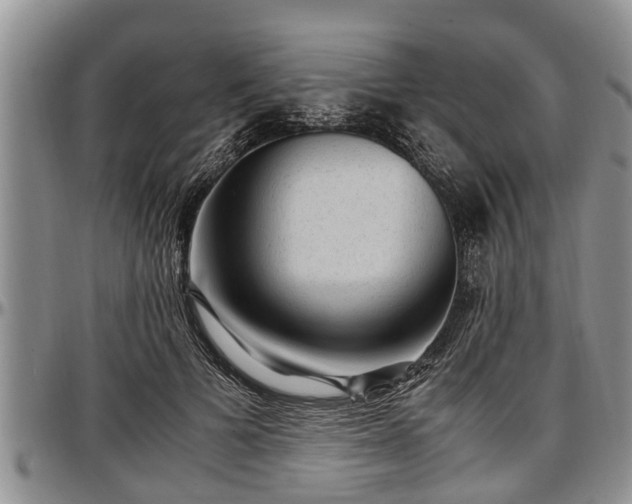 X0000097500697200802291558
