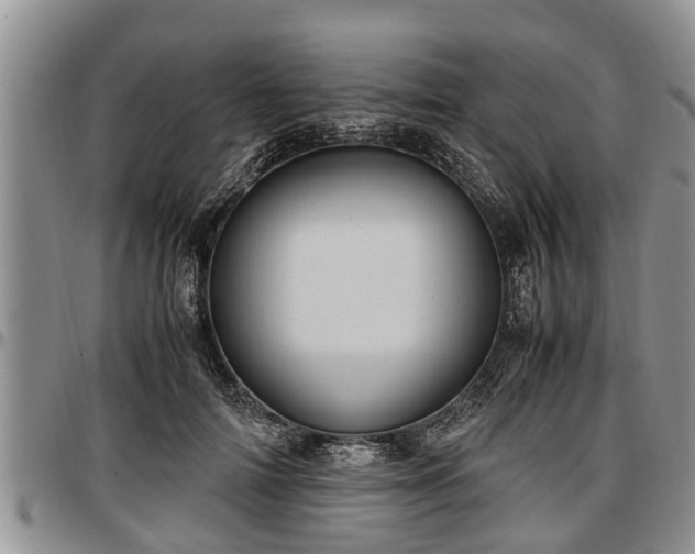 X0000097500698200802291558