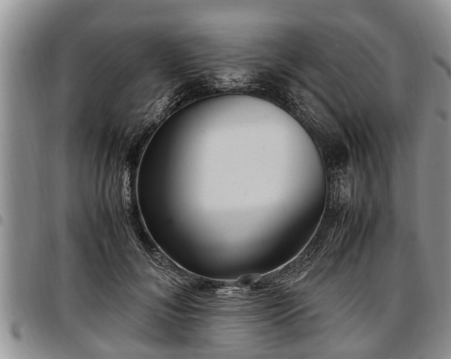 X0000097500700200802291558