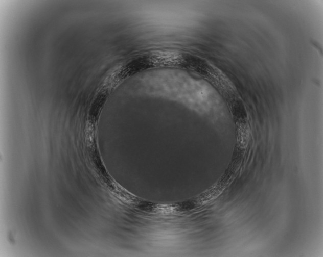 X0000097500701200802291558