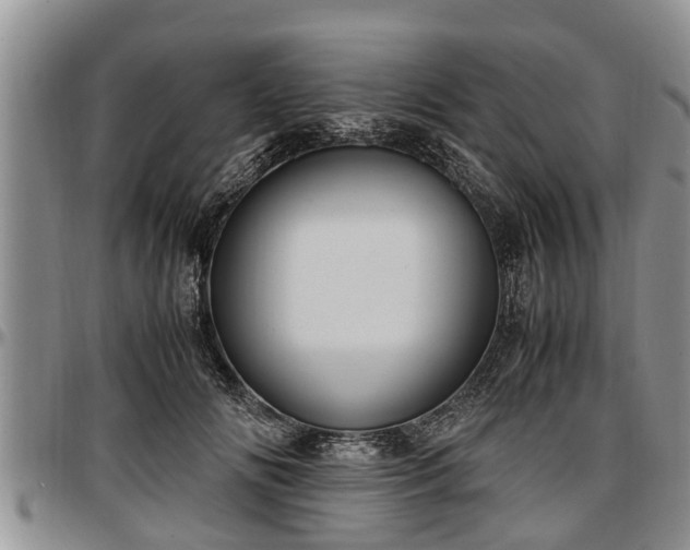 X0000097500702200802291558