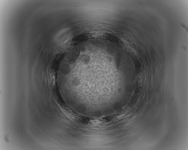 X0000097500703200802291558