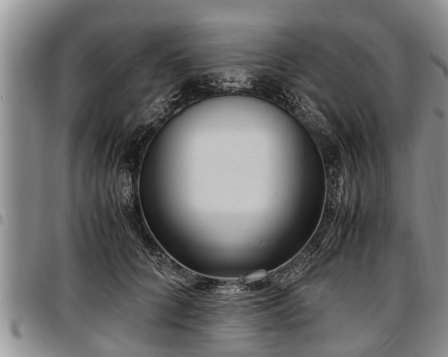X0000097500704200802291558