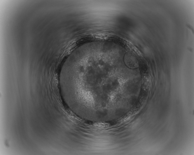 X0000097500707200802291558
