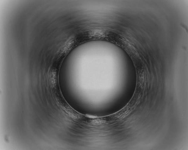 X0000097500708200802291558