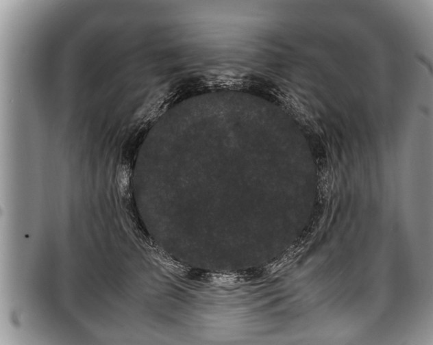 X0000097500709200802291558