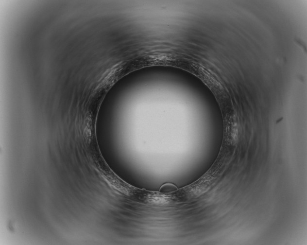 X0000097500710200802291558