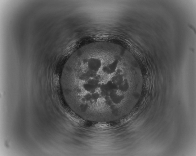 X0000097500711200802291558