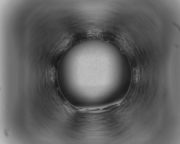 X0000097500712200802291558