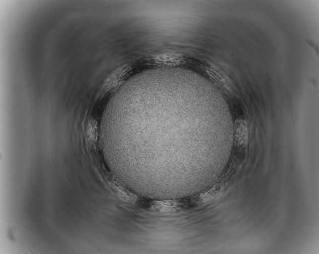 X0000097500713200802291558
