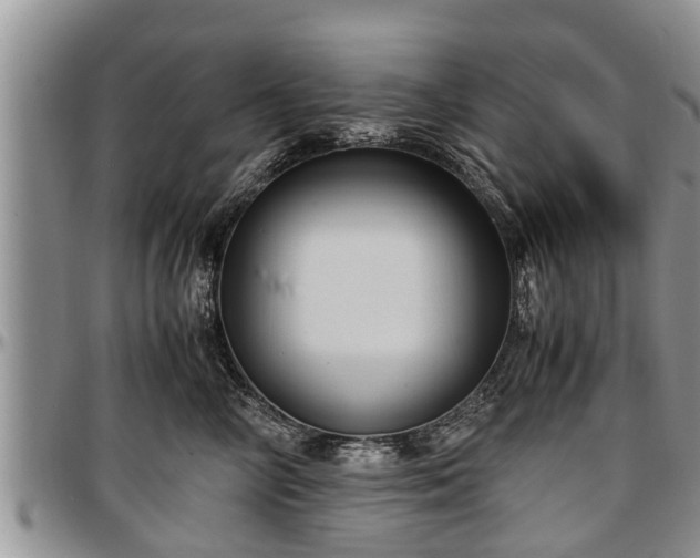 X0000097500714200802291558