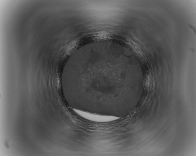 X0000097500715200802291558