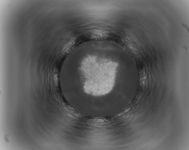 X0000097500716200802291558