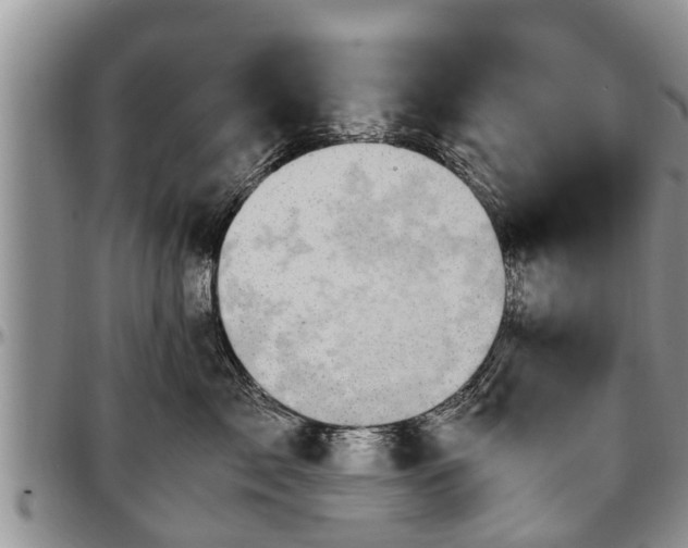 X0000097500717200802291558