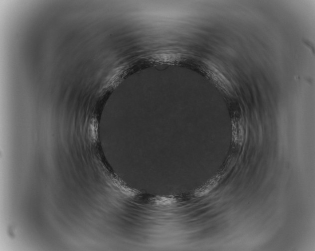 X0000097500718200802291558