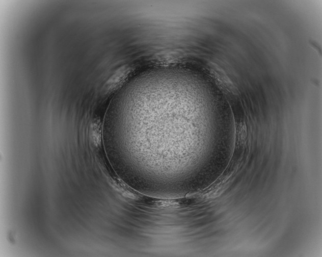 X0000097500719200802291558