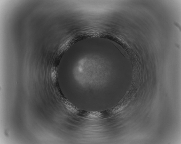 X0000097500720200802291558
