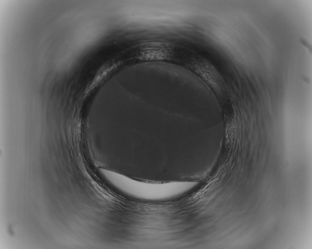 X0000097500722200802291557