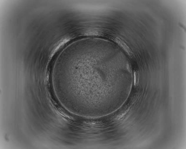 X0000097500723200802291557