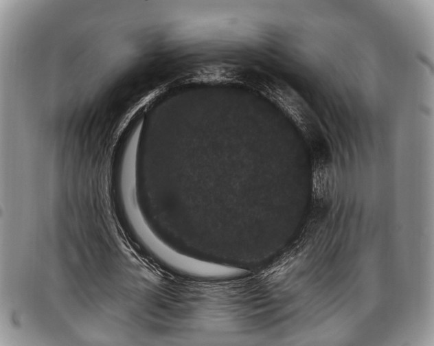 X0000097500724200802291557