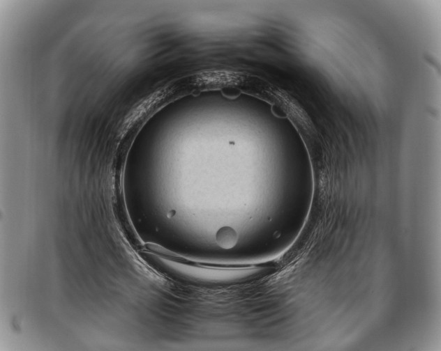 X0000097500725200802291557