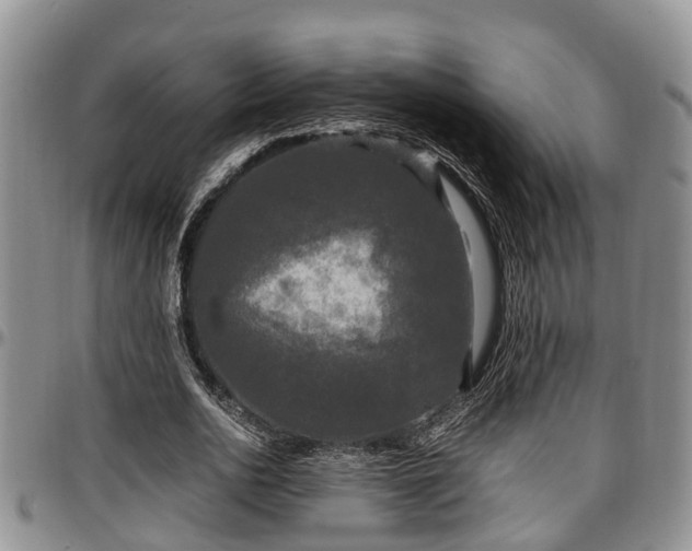X0000097500726200802291557