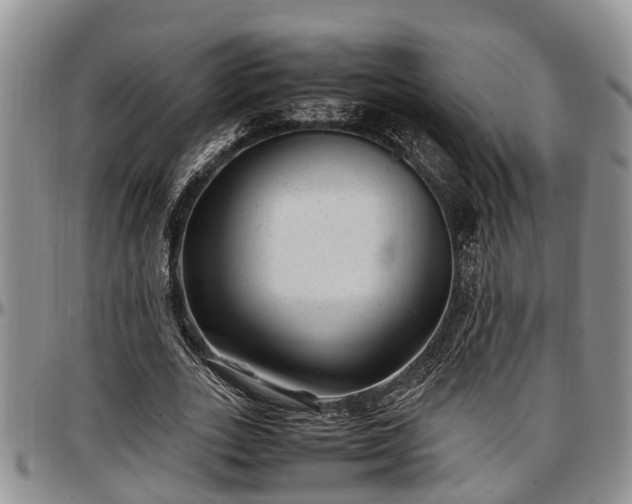 X0000097500727200802291557
