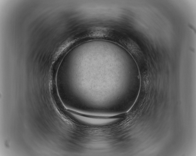 X0000097500728200802291557